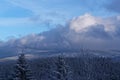 Panorama view at winter forest against cloudy sky at sunset Royalty Free Stock Photo
