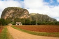 Panorama of the Vinales Valley with the Mogotes