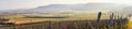 Panorama vineyard landscape view