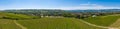 Panorama of the vineyards near Ingelheim / Germany Royalty Free Stock Photo