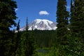 Panorama Volcanic Landscape in Mount Rainier National Park, Washington