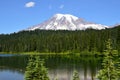 Panorama Volcanic Mountain Landscape in Mount Rainier National Park, Washington