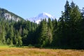 Panorama Volcanic Mountain Landscape in Mount Rainier National Park, Washington