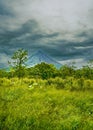 Panorama of volcano Arenal and view of beautiful nature of Costa Rica, La Fortuna, Costa Rica. Central America Royalty Free Stock Photo