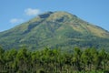 Panorama of the volcano with pine trees foreground Royalty Free Stock Photo