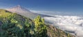 Panorama of the volcano Teide and Orotava Valley Tenerife