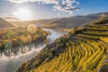 Panorama of Wachau valley with autumn vineyards against Danube river near the Durnstein village in Lower Austria, Austria Royalty Free Stock Photo