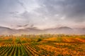 Panorama of Wachau valley. Colorful autumn in vine yards, Austri Royalty Free Stock Photo