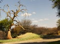 Panorama from Waterberg National Park Royalty Free Stock Photo