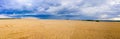 Panorama of a wheat field, wheat crop in Russia, thunderclouds over the crop. Combine harvester harvests wheat in the field Royalty Free Stock Photo