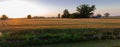 Panorama of wheat field on the italian plain.