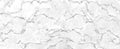 Panorama white marble stone texture for background.