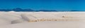 Panorama Of White Sands and The San Andres Mountains