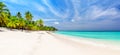 Panorama of white sandy beach with coconut palm trees in Caribbean sea, Saona island in Dominican Republic Royalty Free Stock Photo