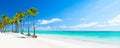 Panorama of white sandy beach with coconut palm trees in Punta Cana, Dominican Republic