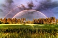 Panorama of the whole double rainbow over summer pine tree forest, green wheat field, very clear skies and clean rainbow colors. Royalty Free Stock Photo