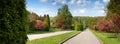 panorama of a wide avenue in the park with flowering trees, round bushes Royalty Free Stock Photo