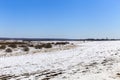 Panorama of a wild field located on the edge of a birch forest photographed in early spring.