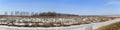 Panorama of a wild field located on the edge of a birch forest photographed in early spring.