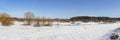 Panorama of a wild field located on the edge of a birch forest photographed in early spring.