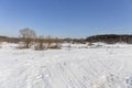 Panorama of a wild field located on the edge of a birch forest photographed in early spring.