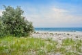 Panorama wild, sea beach in the National reserve island Dzharylgach