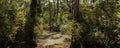 Panorama of a dirt gravel path on a hiking trail through native Australian bushland in the Grampians National Park, rural Royalty Free Stock Photo