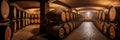 Panorama of a wine cellar with rows of oak barrels lined up along the walls and warm lighting Royalty Free Stock Photo