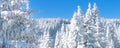 Panorama winter banner ski resort Kopaonik, Serbia Royalty Free Stock Photo