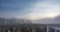 Panorama of a winter field with dried corn stalks and a tree plantation without foliage in the background Royalty Free Stock Photo