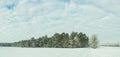 Panorama of Winter forest. Frost on trees