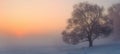 Panorama of winter misty dawn. One tree and sun over horizon. Winter landscape