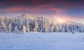 Panorama of the winter sunrise in the mountains Royalty Free Stock Photo