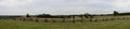 Panorama Wooden Fence at a Civil War Battlefield Royalty Free Stock Photo