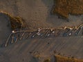 Panorama of wooden pier on stilts boat dock wharf port harbour Cais Palafitico da Carrasqueira Setubal Alentejo Portugal