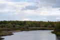 Panorama of the Yakut tundra a little kempendyay river among spruce trees and bushes Royalty Free Stock Photo