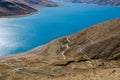 Panorama of Yamdrok Lake in Tibet Royalty Free Stock Photo