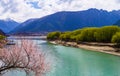 Green river in spring Royalty Free Stock Photo