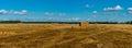 Panorama of yellow golden bales of wheat hay straw stacked in a heap in stubble field