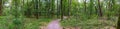 Panorama of `Yellow Trail` in Rainbow Springs State Park - Dunnellon, Florida, USA Royalty Free Stock Photo