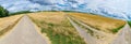 Panorama of a yellow wheat field with a blue sky and white clouds in the background Royalty Free Stock Photo