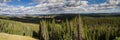 Panorama of the Yellowstone National Park