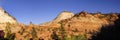 Panorama,Zion National Park