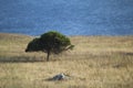 Panoramas of the Apulian countryside Royalty Free Stock Photo