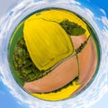 Panoramatic planet of yellow rapeseed field with split parts of fields with groves Royalty Free Stock Photo