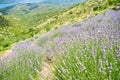 Hills near Brusje, Hvar, Croatia Royalty Free Stock Photo