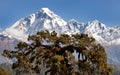 Panoramatic view from Jaljala pass to Dhaulagiri Himal Royalty Free Stock Photo