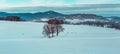 Panoramatic winter czech landscape with trees and hill in valley