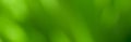 Panoramic Abstract Beautiful Green Nature Blurred Background Royalty Free Stock Photo