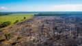 Panoramic aerial view of burn meadow,cut trees in cattle pasture farm rainforest. generative ai